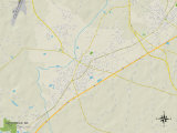 Political Map of Smithfield, NC Poster