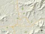 Political Map of Asheville, NC Posters