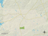 Political Map of Stokesdale, NC Poster