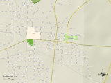 Political Map of Cuthbert, GA Posters