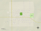 Political Map of Waverly, IL Posters