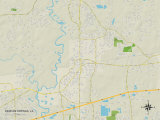 Political Map of Denham Springs, LA Photo