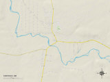 Political Map of Shiprock, NM Prints
