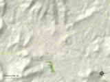 Political Map of Spruce Pine, NC Photo