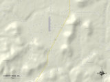 Political Map of Cherry Tree, OK Poster