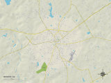 Political Map of Monroe, GA Posters