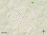 Political Map of Elberton, GA Prints