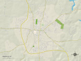 Political Map of Danville, KY Posters