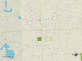 Political Map of South Lyon, MI Prints