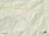 Political Map of Mansfield, MO Poster
