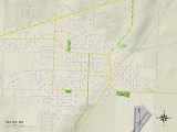 Political Map of Dexter, MO Prints