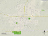 Political Map of Fallon, NV Poster