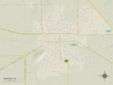 Political Map of Delphos, OH Prints