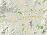 Political Map of Reno, NV Prints