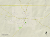 Carte politique de Tylertown, MS Affiches