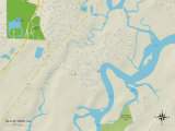 Political Map of Isle of Hope, GA Prints