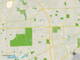 Political Map of Woodridge, IL Prints