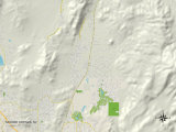 Political Map of Spanish Springs, NV Prints