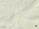 Political Map of Seneca, MO Prints