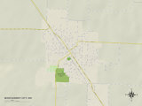 Political Map of Montgomery City, MO Posters