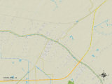 Political Map of Raceland, LA Posters