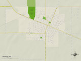Political Map of Benson, MN Print