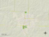 Political Map of Monett, MO Posters