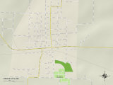Political Map of Pierce City, MO Poster