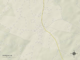Political Map of Stanfield, NC Posters
