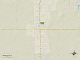 Political Map of Westville, IL Prints