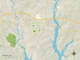 Political Map of Belmont, NC Posters