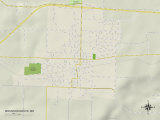 Political Map of Mountain Grove, MO Photo