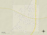 Political Map of Shaw, MS Posters