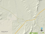 Political Map of Moapa Town, NV Prints