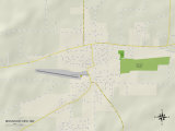 Political Map of Mountain View, MO Prints