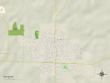 Political Map of Salem, MO Prints