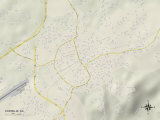 Political Map of Cornelia, GA Prints