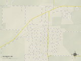 Political Map of Salisbury, MO Posters