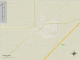 Political Map of Steele, MO Prints