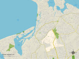 Political Map of Stony Brook, NY Print