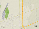 Political Map of Miner, MO Prints