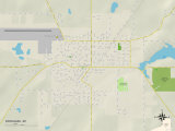 Political Map of Dowagiac, MI Prints