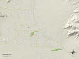 Political Map of Pahrump, NV Poster