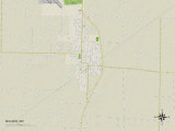 Political Map of Malden, MO Print