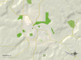 Political Map of Decorah, IA Posters