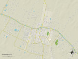 Political Map of Thibodaux, LA Posters