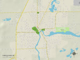 Political Map of Three Rivers, MI Prints