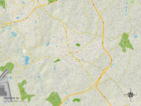 Political Map of Mauldin, SC Prints