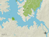 Political Map of Tega Cay, SC Prints