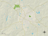 Political Map of York, SC Prints